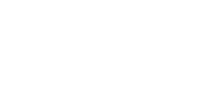 websoft tech logo